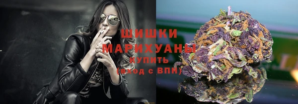 2c-b Ельня