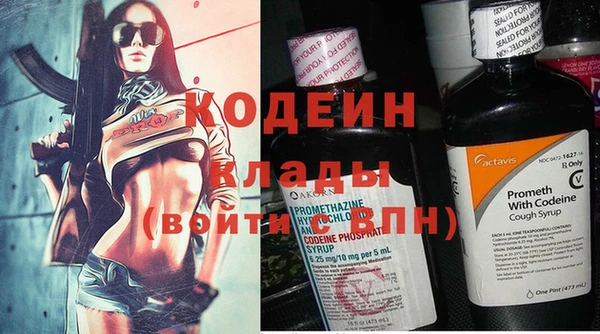 2c-b Ельня
