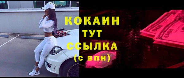 2c-b Ельня