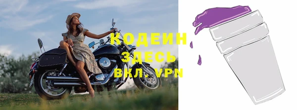 2c-b Ельня