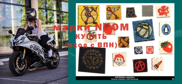 2c-b Ельня