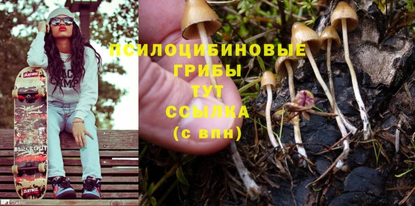 2c-b Ельня