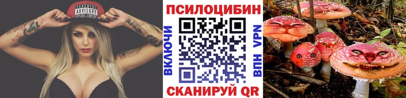 Галлюциногенные грибы Psilocybe  Купить закладки  Кувшиново 